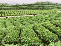 我晋中市新增一家国度级龙头企业