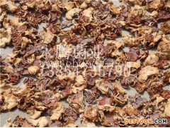 永腾菌业批发榆耳菌种(图)-榆耳批发-榆耳