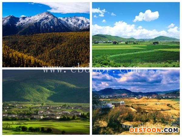 藏红花哪里有卖-丛茸菌业公司