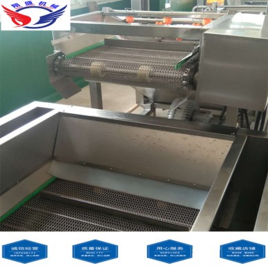 气泡式葡萄干清洗机厂家 连续式清洗瓜果蔬菜设备 小河虾清洗机