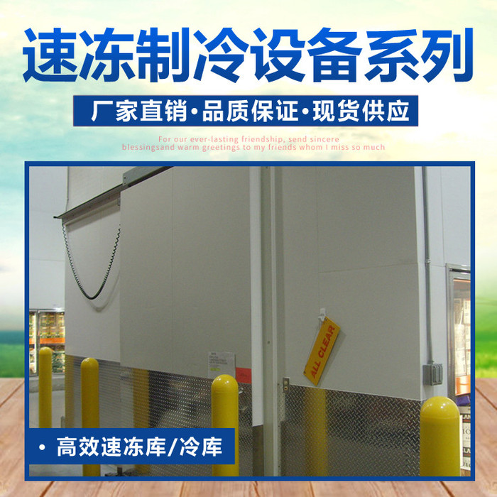冷冻库 包子速冻 蔬菜保鲜制冷库 高效冷库