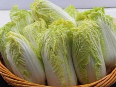 娃娃菜种植技术及病虫害防治办法