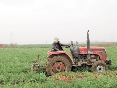 襄阳分片有序恢复农业消费-襄阳晋中市农业农村局