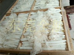 食用菌热泵烘干设备厂家 竹荪烘干机设备直销 竹荪干燥箱定制 食用菌烘干设备厂家