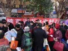 鹤壁市农业农村局组织展开“12.4国度宪法日”法治宣传活动