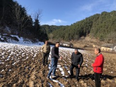 鹤壁市农机局谋划2020年农机化义务