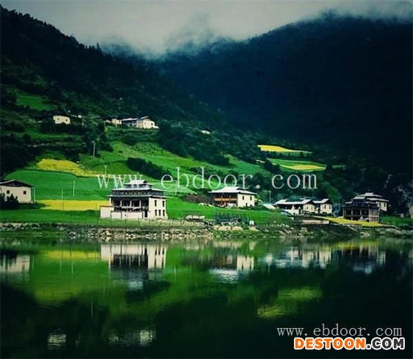 怎么卖藏红花-香格里拉丛茸菌业