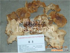 榆耳怎么食用-榆耳-永滕食用菌基地