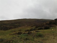 市级验收组反省验收对汉源县2018年南方现代草地畜牧业树立项目