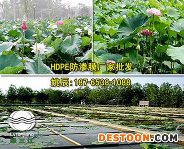 许昌莲藕养殖膜生产厂家_莲藕养殖膜批发直销中心