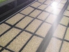 直销钰化牌杀菌消毒剂解决豆芽烂菜黑根长斑红头问题三桶包邮