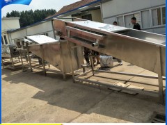 诸城瑞宝供应叶菜类清洗机、根薯类清洗机， 全自动蔬菜清洗机 清洗机厂家