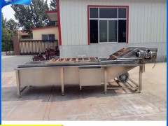 诸城瑞宝供应叶菜类清洗机、根薯类清洗机，全自动蔬菜清洗机 清洗机厂家