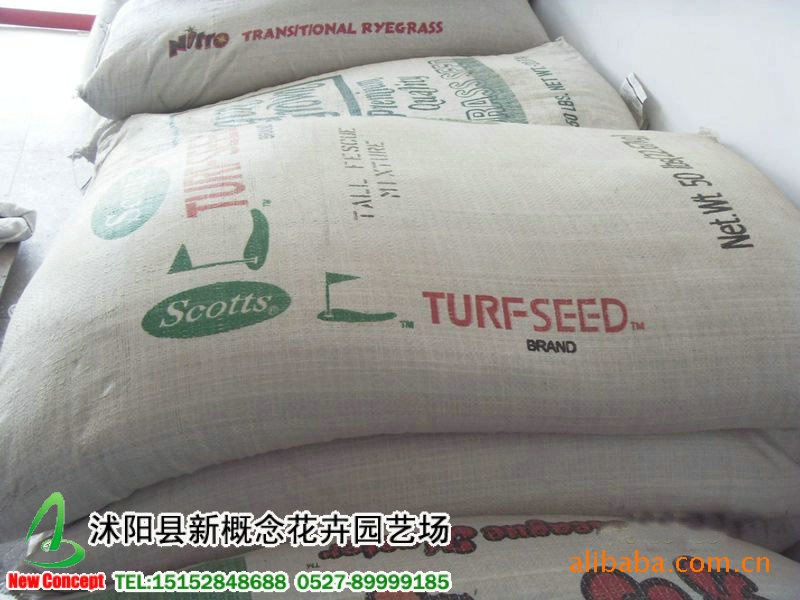 供应多年生黑麦草种子