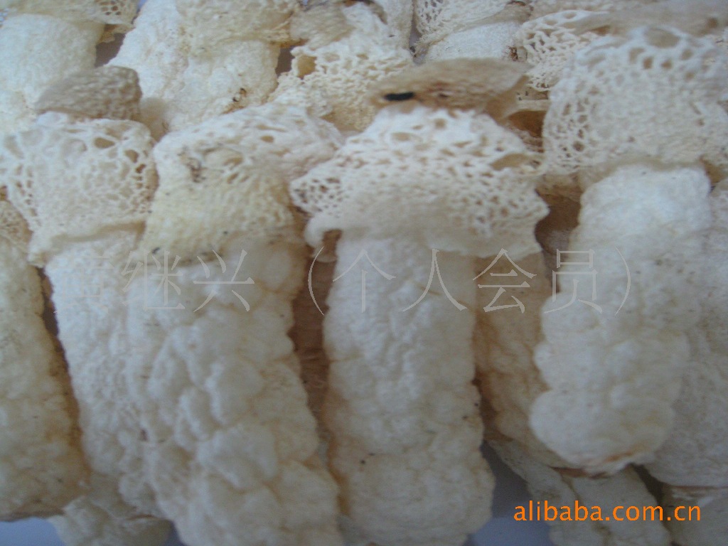 织金红托竹荪（特级） 肉质细腻 440元/千克