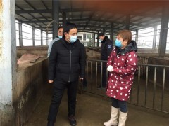 眉县：农业农村局督导辖区内生猪屠宰场