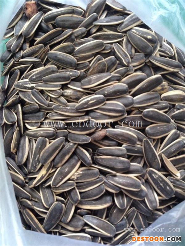 瓜子-美哈食品久负盛名-瓜子哪家好