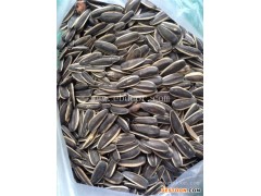 瓜子-美哈食品久负盛名-瓜子哪家好