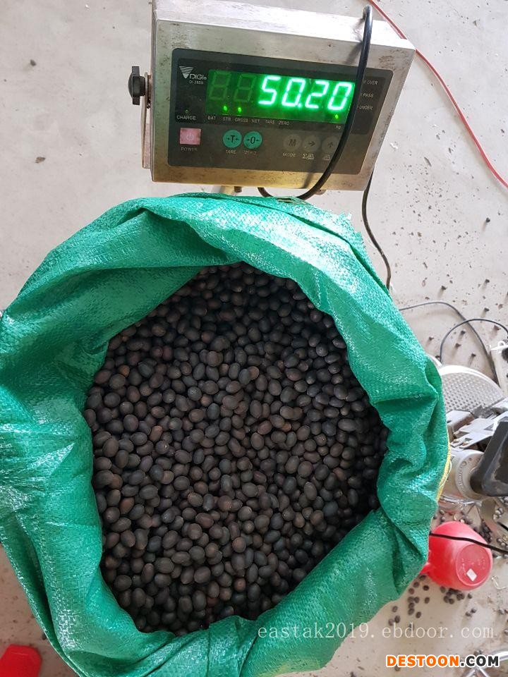 精选越南进口天然无芯特级白莲子 饱满 已磨皮 通芯率高