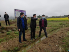 省农业技术推行总站站到安福县大球盖菇新品种示范基地调研