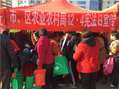 市、区农业农村局结合展开“12·4”国度宪法日系列宣传活动