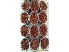 临安山核桃仁厂家直销