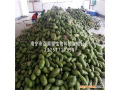 南宁干木瓜丝制作商家