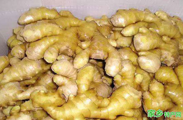 鲁山张良姜 -平顶山鲁山特产