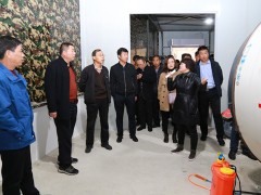 我市组织人员赴镇安学习调查食用菌消费