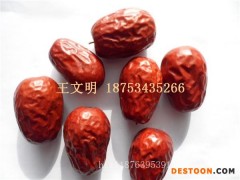 散装新疆灰枣厂家代加工