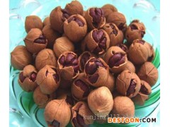 浙江山核桃厂家/知名山核桃批发