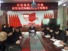 洪洞县：增强应急值守 做好疫情防控-区县静态