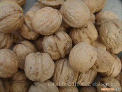 2016新干核桃薄皮核桃上市