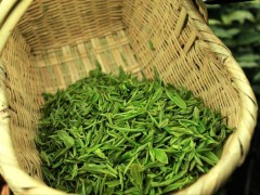 古丈毛尖 - 湘西特产