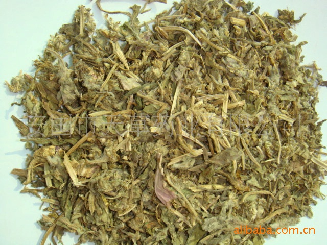 供应中草药 中药饮片 筋骨草