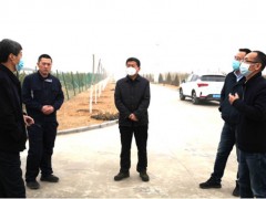 榆林：董生前一行反省指点畜牧产业消费调度和技术效力义务