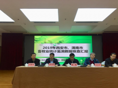 2019年全省畜牧产业信息监测义务培训班（第二期）在宝鸡顺利召开-宝鸡鹤壁市农业农村局