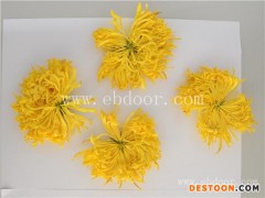 菊花烘干房-中小产量菊花烘干房-河南国信机械(优质商家)