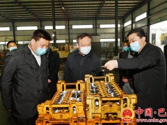 杨洪波来巴调研指点统筹推进疫情防控和经济社会展开义务