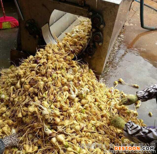 供应FX-1500型洗鱼机 去鱼鳞机 三文鱼清洗加工成套设备