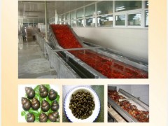 【厂家直销】螺蛳蒸煮生产线，水产品加工设备，速冻生产线