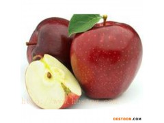 家家苗 蛇果—— 苹果苗_苹果苗厂家_苹果苗直销_临沂苹果苗_苹果苗