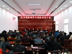 汉滨区：辣椒产业协会成立