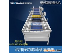 蛇果清洗机 气泡冲浪喷淋洗果机 水果加工清洗生产流水线