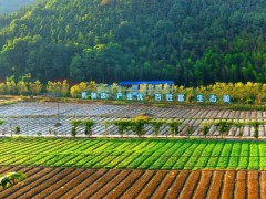 南平晋中市出台乡村复兴八条措施统筹抓好试点示范和资金运用