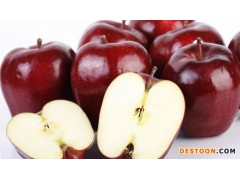 供应青岛巨晖15762274688美国红蛇果进口/青岛巨晖商检备案