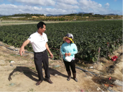 “不忘初心，牢记使命”，市热科院党支部展开绿色种苗，助农增收，讲微党课活动