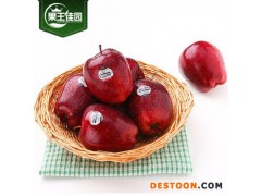 美国蛇果华盛顿进口红蛇果12个苹果水果新鲜采摘包邮