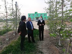宝鸡鹤壁市果菜中心深化扶风反省指点果树花期冻害防御-宝鸡鹤壁市农业农村局