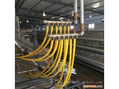 笼养鸡舍锅炉 浩丰厂家直销质优价廉